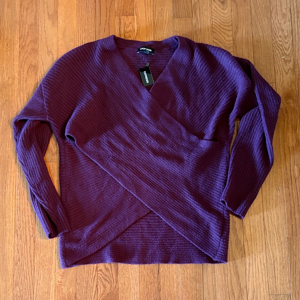 Express Plum V-Neck Sweater